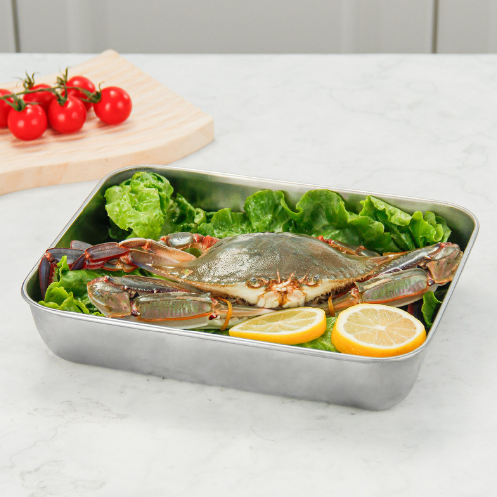 Recipiente de Alimentos em Aço Inoxidável 304(25 x 20 x 6 cm)